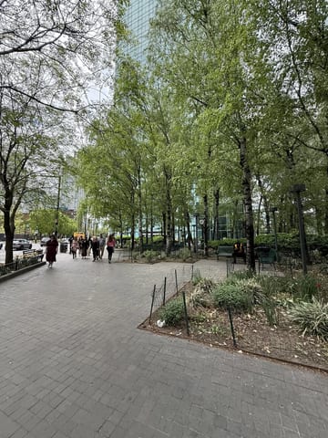 A leafy sidewalk in Long Island City on the walk to MoMA PS1