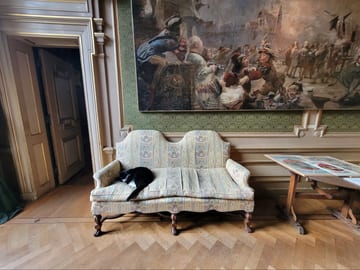 A black cat sleeping on a sofa beneath a large painting at the KattenKabinet museum