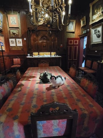 A black and white cat sitting on a table inside the KattenKabinet museum