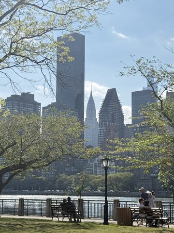 Manhattan skyline seen through spring trees from Roosevelt Island